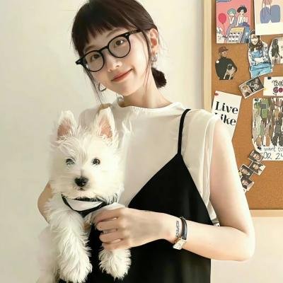 高速路上一只猫